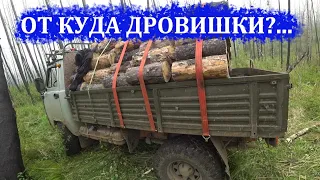 ЗАГОТОВКА ДРОВ 2021...Испытание дровокола!