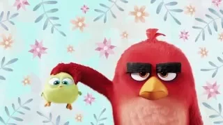 Happy Mothers Day From The Angry Birds Movie *Cute