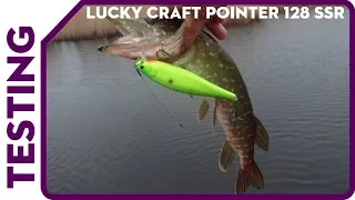 Lucky Craft Pointer 128 SSR. Жадная щука на большой воблер.