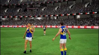 AFL Collingwood VS West Coast Highlights R4 2022 AFL Evolution 2