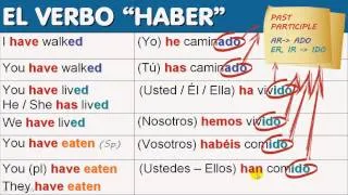 'Haber' As an Auxiliary Verb: It's Perfect! [1/8]