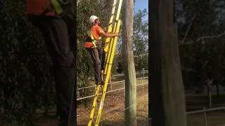 Pole Grab Ladder Safety Kit showing EASY SAFE Ascending up Ladder Secured