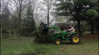 Pine and Cherry Tree Removal.