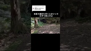 激ヤバ🚨今までの心霊YouTuberでも見ないハッキリと写る2体の霊。沖縄激辛心霊現象💀