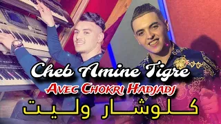 Cheb Amine Tigre 2024 © Klouchar Walit كلوشار وليت | Avec Chokri Hadjadj (Live Casino) Music Tiktok