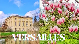 VERSAILLES. PETIT TRIANON 2023.03.26