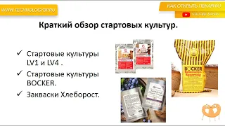 Открыть пекарню с нуля. Разновидности заквасок для использования в производстве. Денис Машков