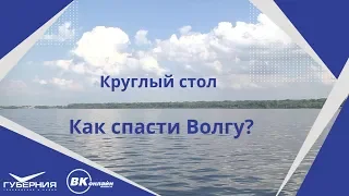 Круглый стол "Как спасти Волгу"