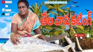 పండు చేప తేల్చాప కటింగ్#village videos#Best dryfish#BT Dryfish#దివిసీమ 👍👌😍