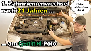 Zahnriemenwechsel nach 21 Jahren, VW Lupo VW Polo 6N2 1.0 MPI Motorcode AUC ALD