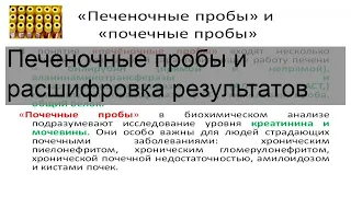 Печеночные пробы и расшифровка результатов