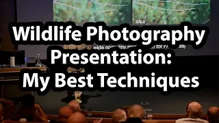 Wildlife Photography Presentation - Best Techniques