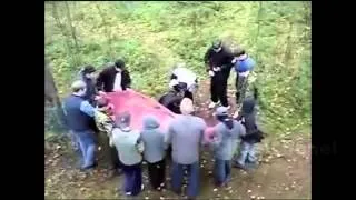 13 #FAIL Compilation from Russia #Funny Jokes Gags VideoS