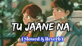 Tu Jaane Na [Slowed + Reverb] - Atif Aslam | LOFI SKY KING | Textaudio Lyrics | Music Lovers| NOBODY