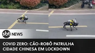 Covid Zero: cão-robô patrulha cidade chinesa em lockdown | SBT News