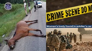 Soldier found with woman's body  students fall ill fleeing Ukraine, horse accident