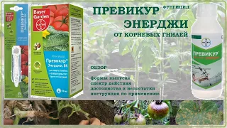 Превикур Энерджи - лучшее средство для профилактики фитофтороза и корневых гнилей. Обзор фунгицида