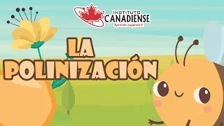 La Polinización - 4° Primaria