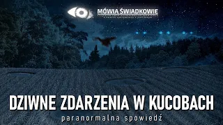 UFO, kręgi w zbożu, dziwne postaci. Paranormalna spowiedź || Mowia Swiadkowie - Odc. 65