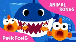Baby Shark | Animal Songs | PINKFONG Songs for Children