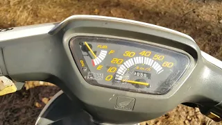 Стоит-ли устанавливать 60куб поршневую на скутер Хонда Дио AF-18