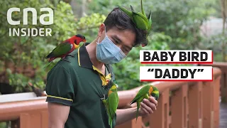 Bird Park's 'Foster Daddy' To Baby Endangered Birds