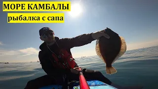 МОРЕ КАМБАЛЫ. Видео о рыбалке с сапа в Уссурийском заливе.