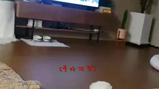 [세븐틴/승관] 뿌 목소리=설탕