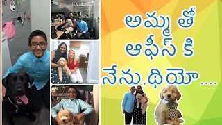 అమ్మతో OFFICE కి నేను, థియో | USA Telugu Vlogs | USA | Telugu Vlogs