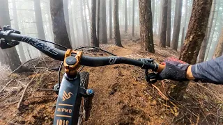 PARADISE ROYALE: Everything mountain biking should be