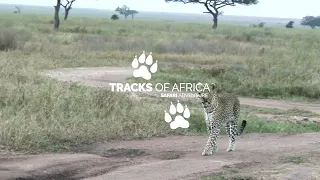 Experience live in Tanzania! With Tracks of Africa Safari Adventure