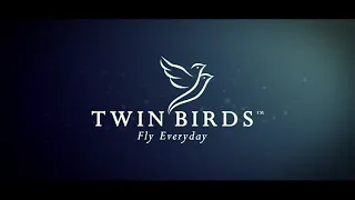 TWIN BIRDS