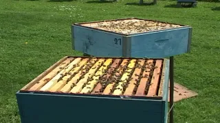 Pčelari - Saopštenje sačuvajmo pčele   april  2021