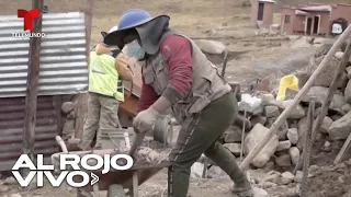 Un supuesto 'chupacabras' mata a un centenar de llamas y ovejas en Bolivia