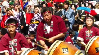 第６２回　赤羽馬鹿祭り２０１７　馬鹿祭り大パレード　太鼓演奏