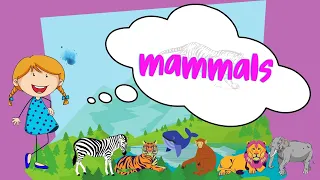 mammals | learn the characteristics of mammals for kids