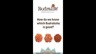 How do we know which Rudraksha is good? | Rudralife | #shorts #shortsvideo