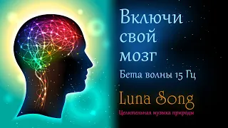 Включи свой мозг | Звуки ручья и БЕТА волны 15 Гц