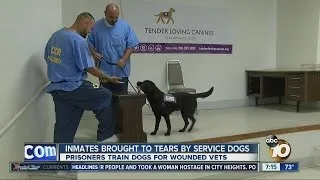 Inmates at local prison brought to tears by service dogs