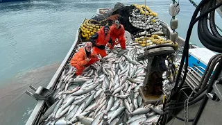 Seining season for F/V Marina Lynn 2021