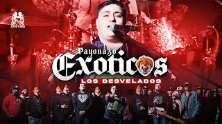 Los Desvelados - Payonazo Exóticos [En Vivo]