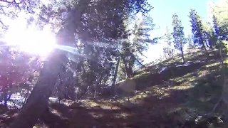 Bigfoot Hunting The High Sierras 360 VR