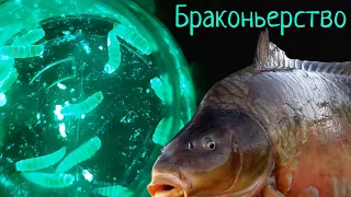 Живые Бойлы - поразили ИНТЕРНЕТ  /  Fishing Revolution!!!