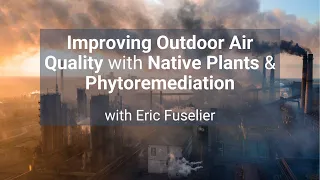 Improving Outdoor Air Quality with Native Plants & Phytoremediation with Eric Fuselier