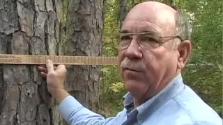 Tree Measurement