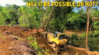 The Most Suitable Dozer Works in The Jungle - CAT D7R Reshaping Plantation