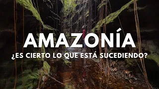 LA VERDAD SE DEJA VER. SELVA ORIGINAL DE AMÉRICA | Fenómeno actual en el Amazonas