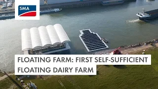 Floating Farm: first self-sufficient floating dairy farm