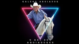 Galego aboiador CD.