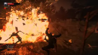 The Witcher 3: Wild Hunt - Combat Gameplay